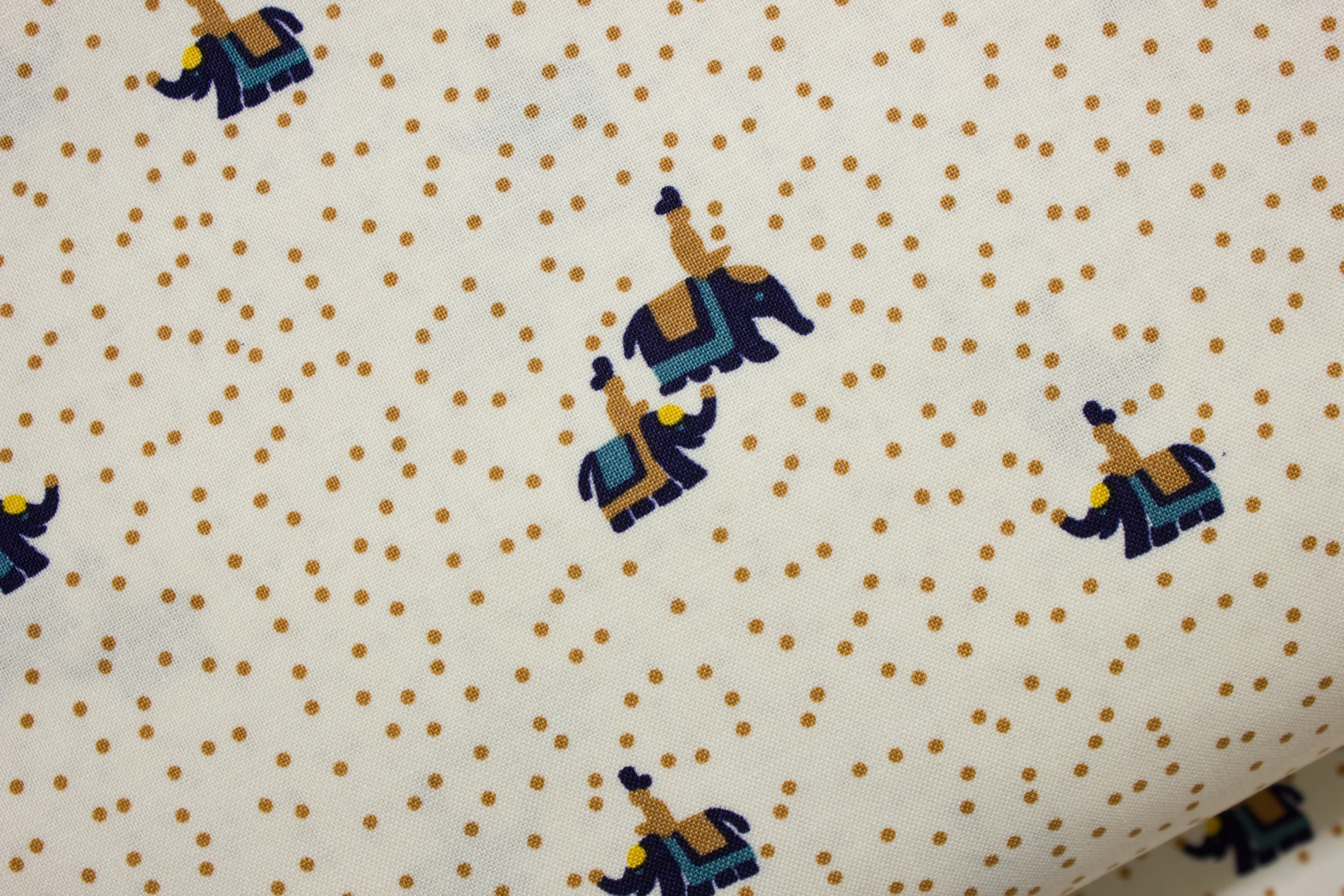 India Elephant Man on Cream by Mary Fons