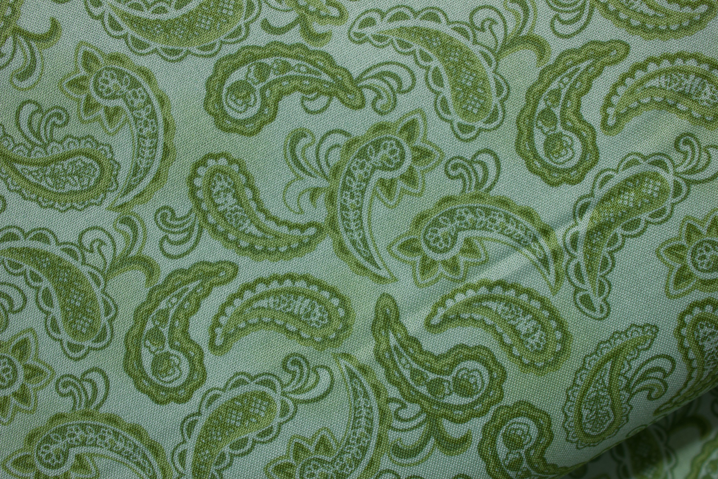 Cassandra, Tonal Paisley in Green on Light Blue for Fabri-Quilt