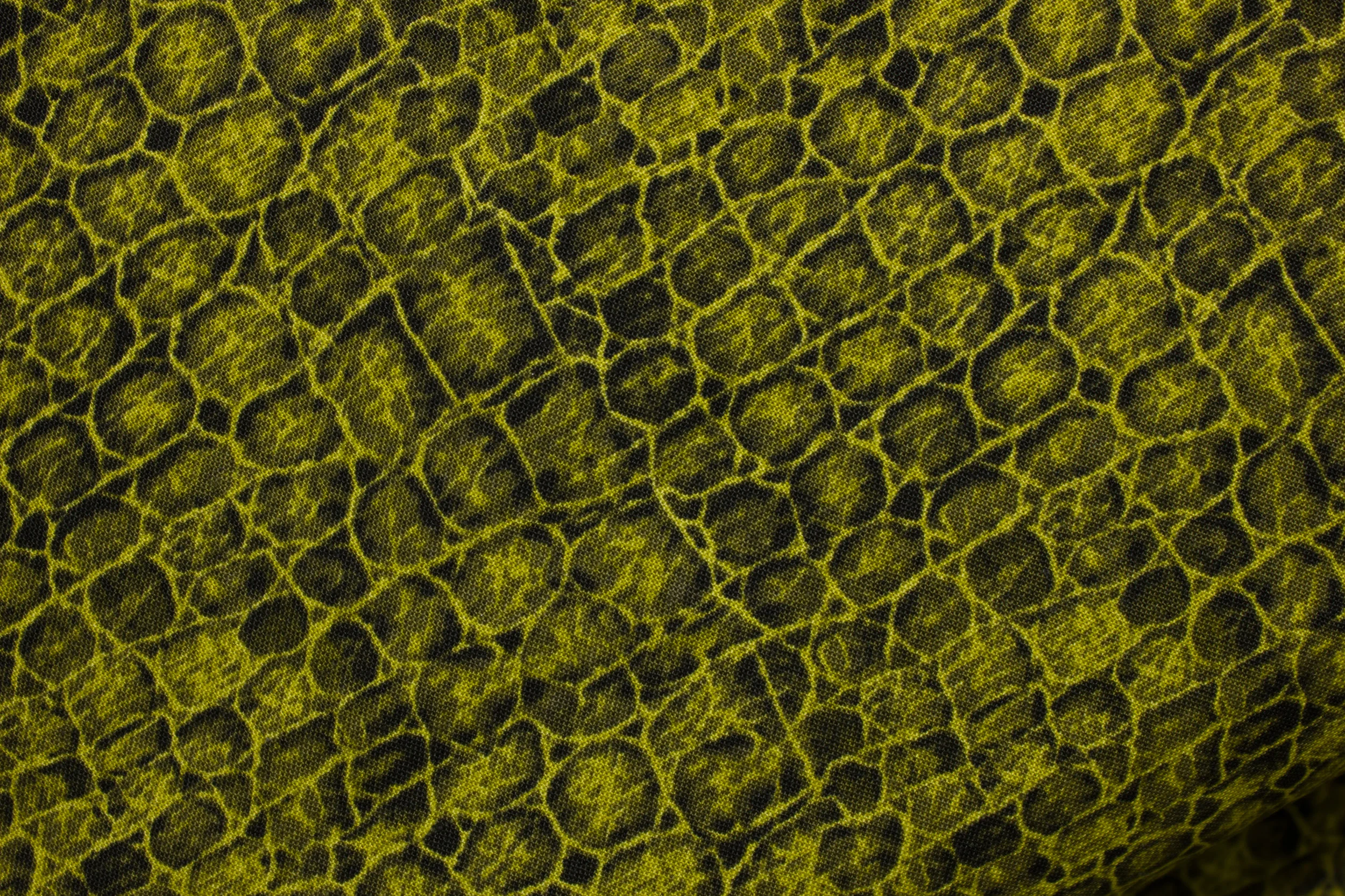 Jungle Party - Reptile Green for Fabri-Quilt