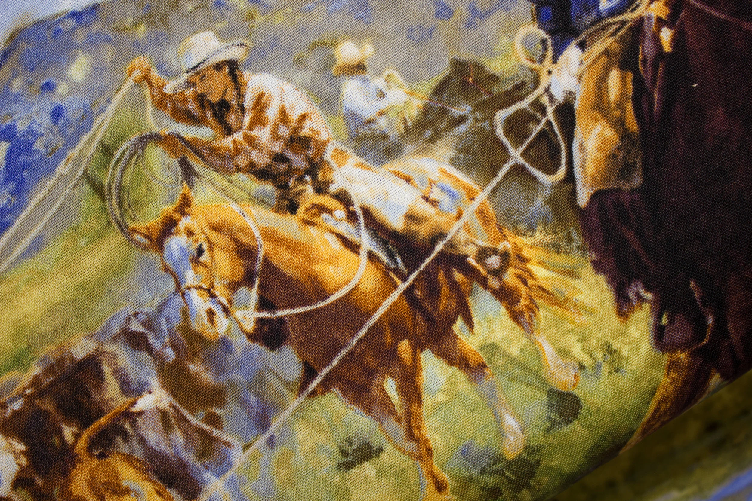 Ranchero by Joseph Rich for Wild Wings for Springs Creative Cotton Quilting Fabric by the Yard