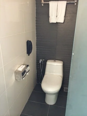 toilette in Poland
