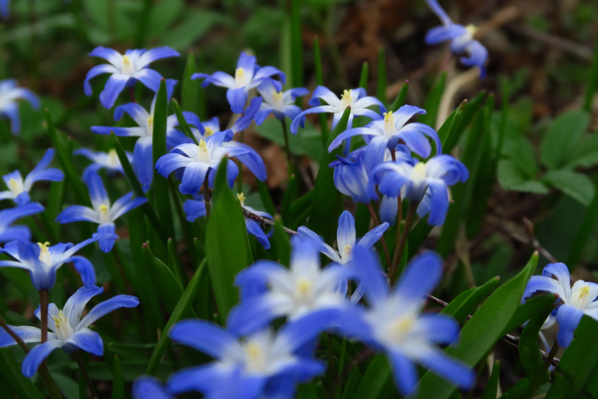 Cultural: Spring has sprung in Poland
