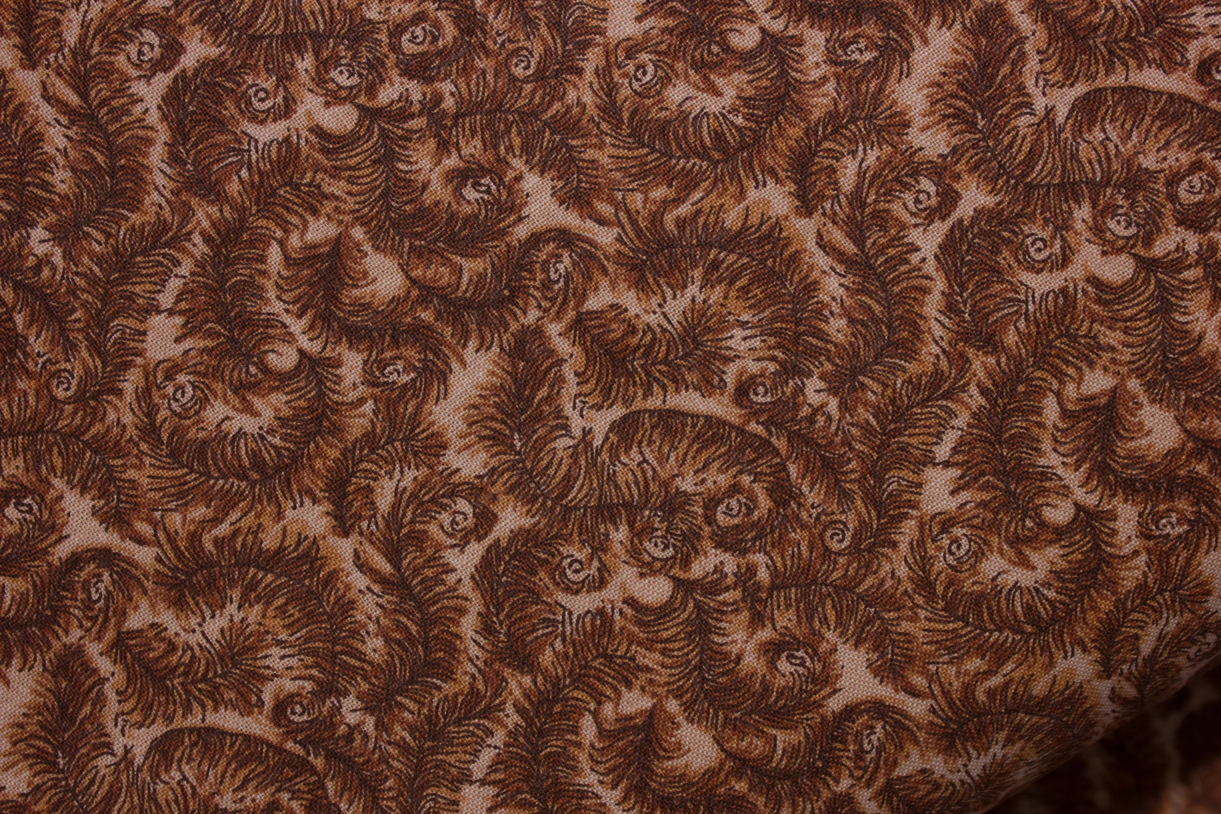 Brown Feather Frenzy