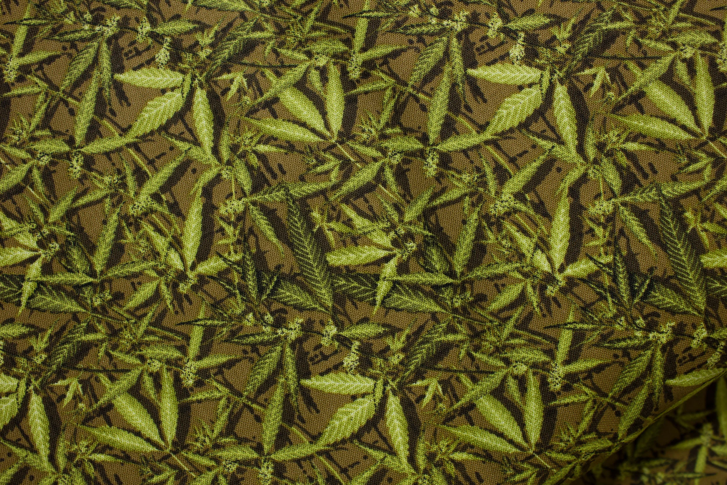 Green Leaves on Brownish Green Background: Nature Trail for Paintbrush Studios