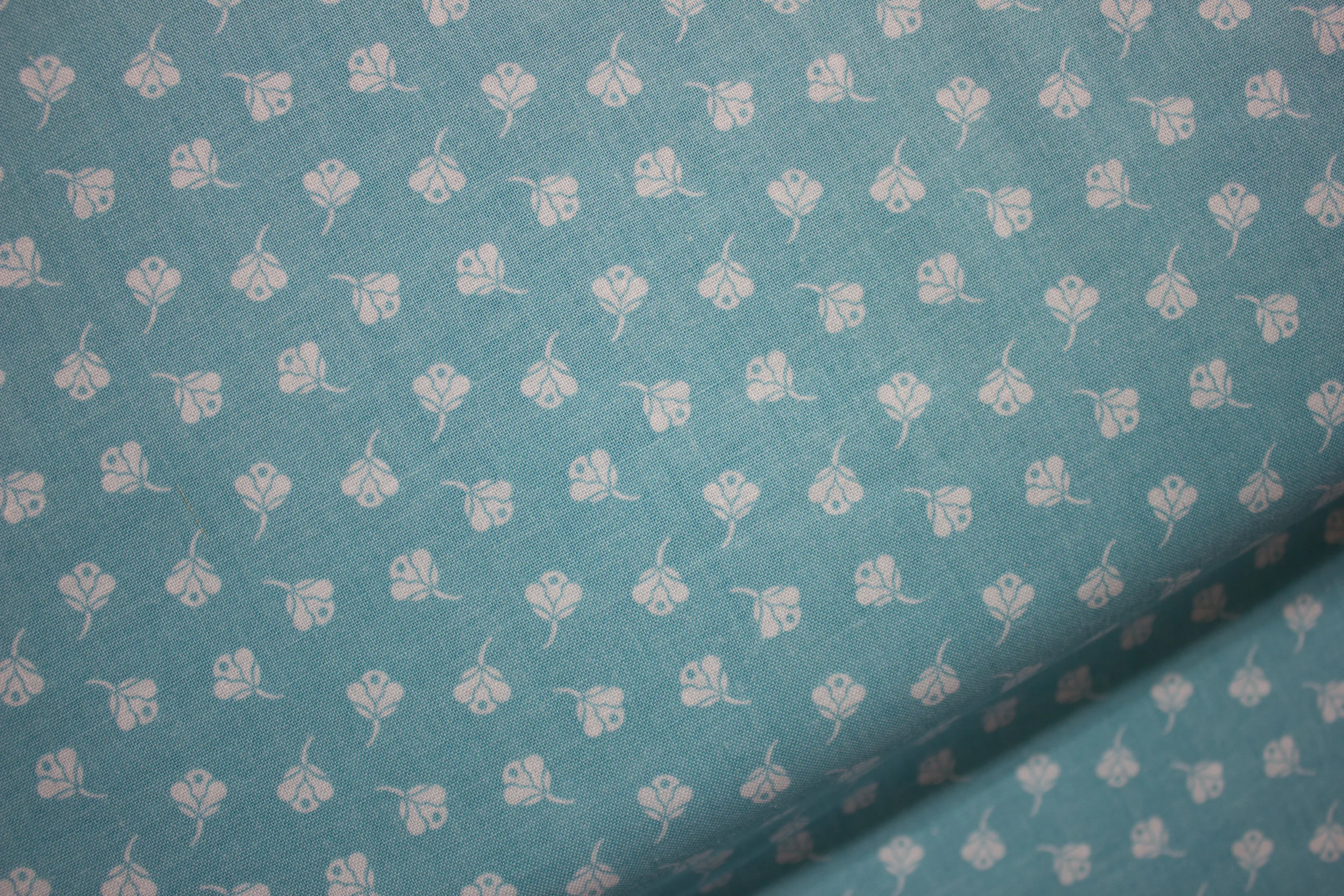 June 18, 2018 - Fabric-5539.jpg