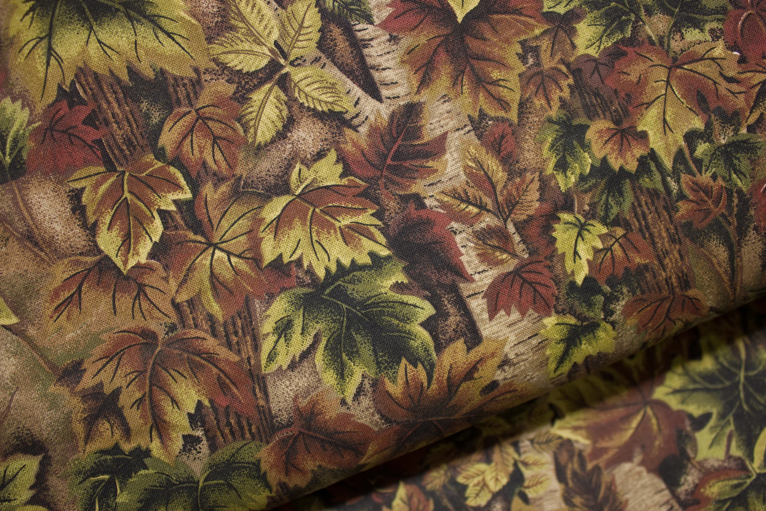 Leaves and Tree Trunks: Woods For Cranston