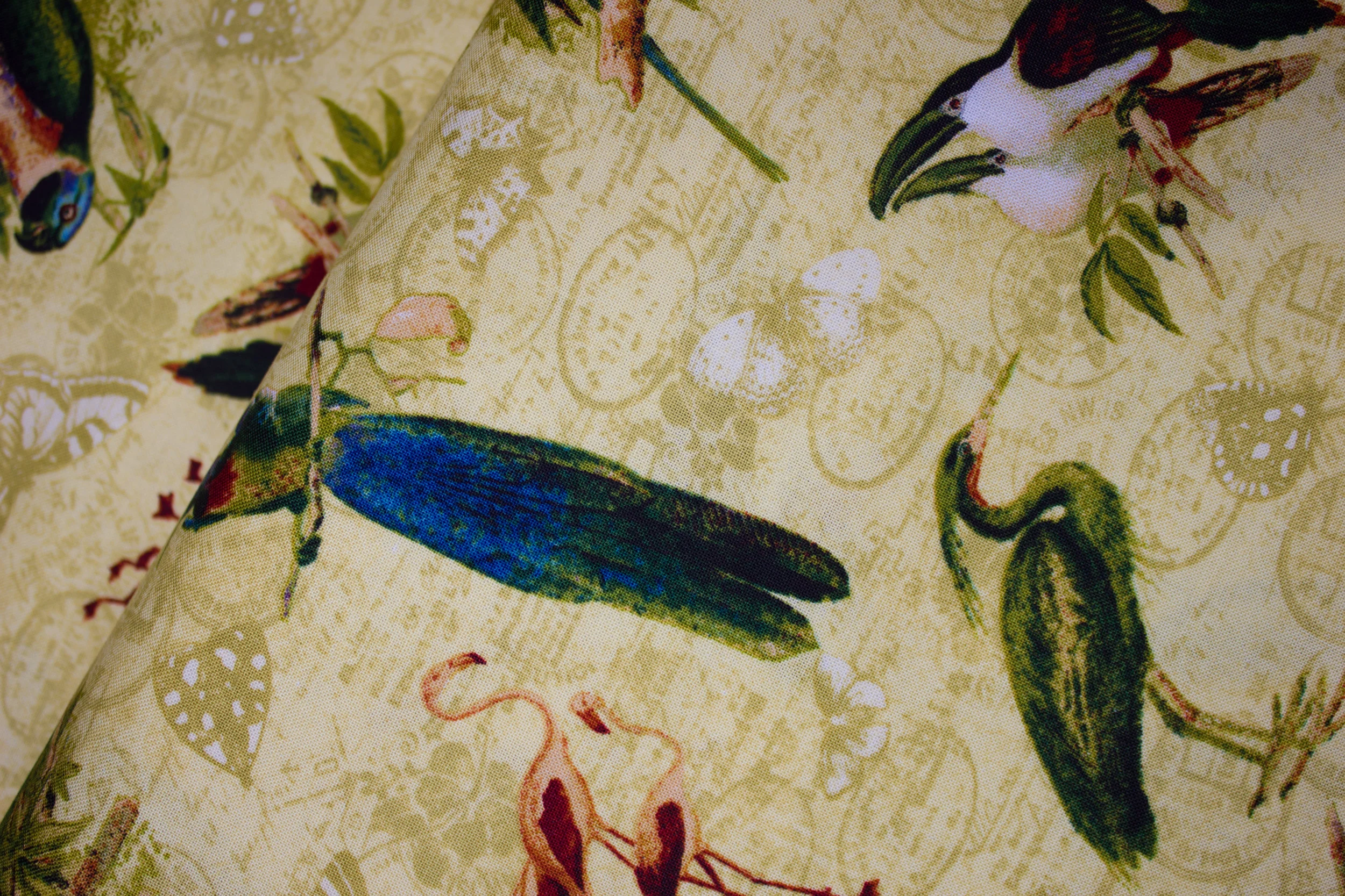September 02, 2018 - Fabric-8341.jpg