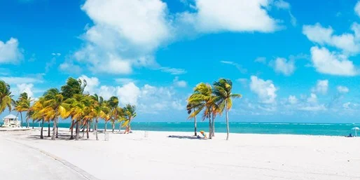 tzoo.13733.0.557885.holidays_florida.jpg