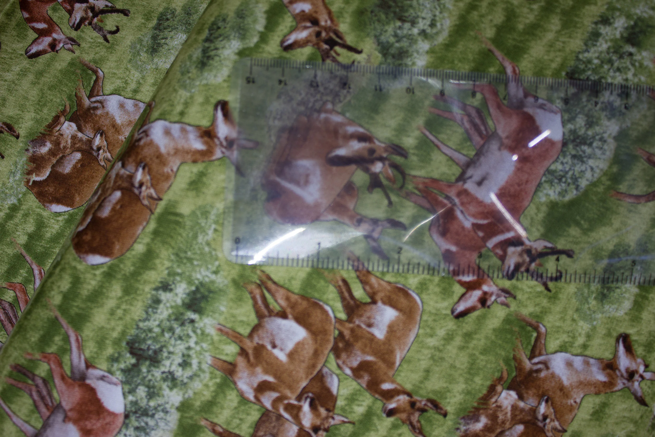 North American Wildlife: Pronghorn on Green by Elizabeth's Studios