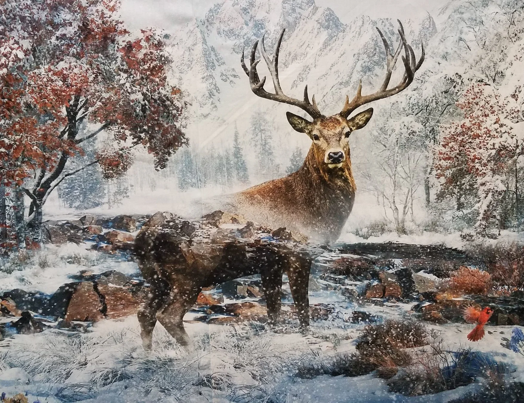 Becky's going to kill me!