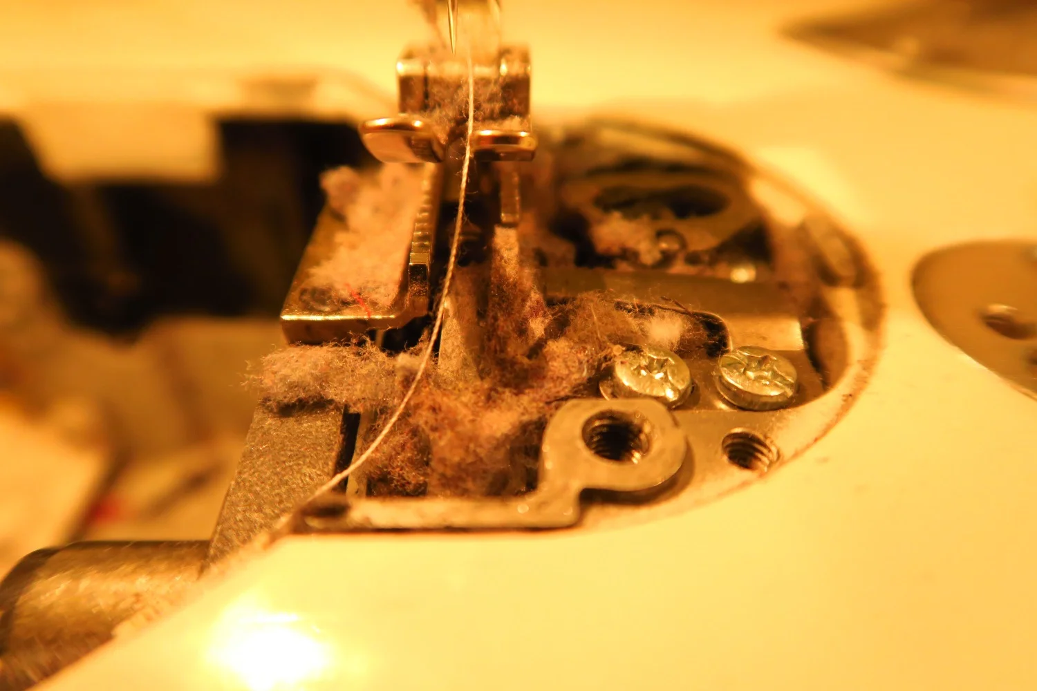 Cleaning my Janome 1600 QC