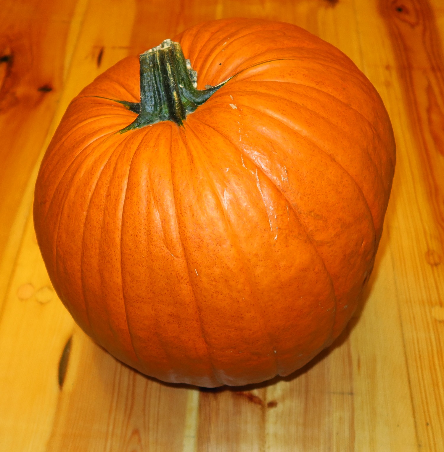 1. Bring the pumpkin in
