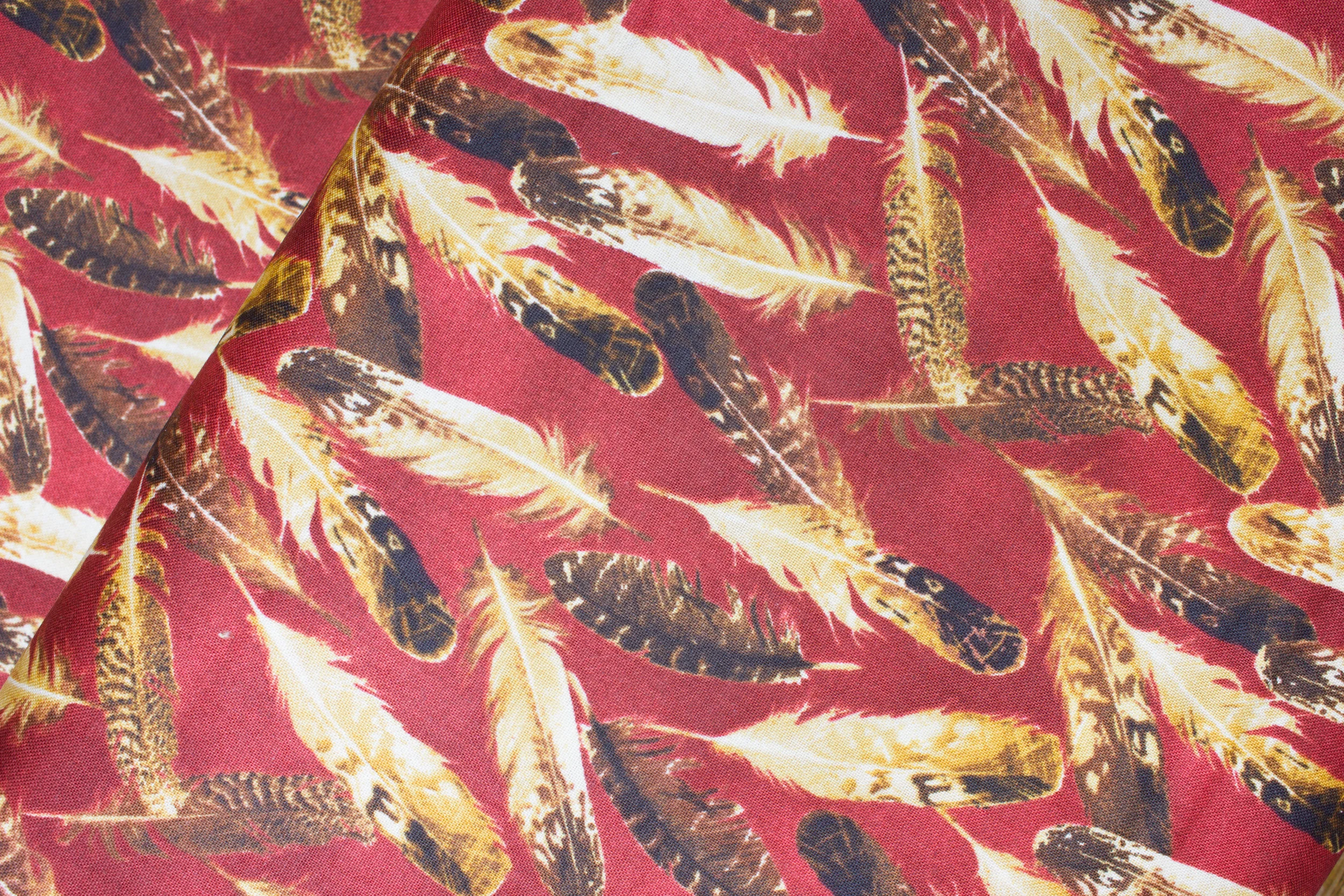 Quail Feathers on Rust - Quail by Andover Fabrics