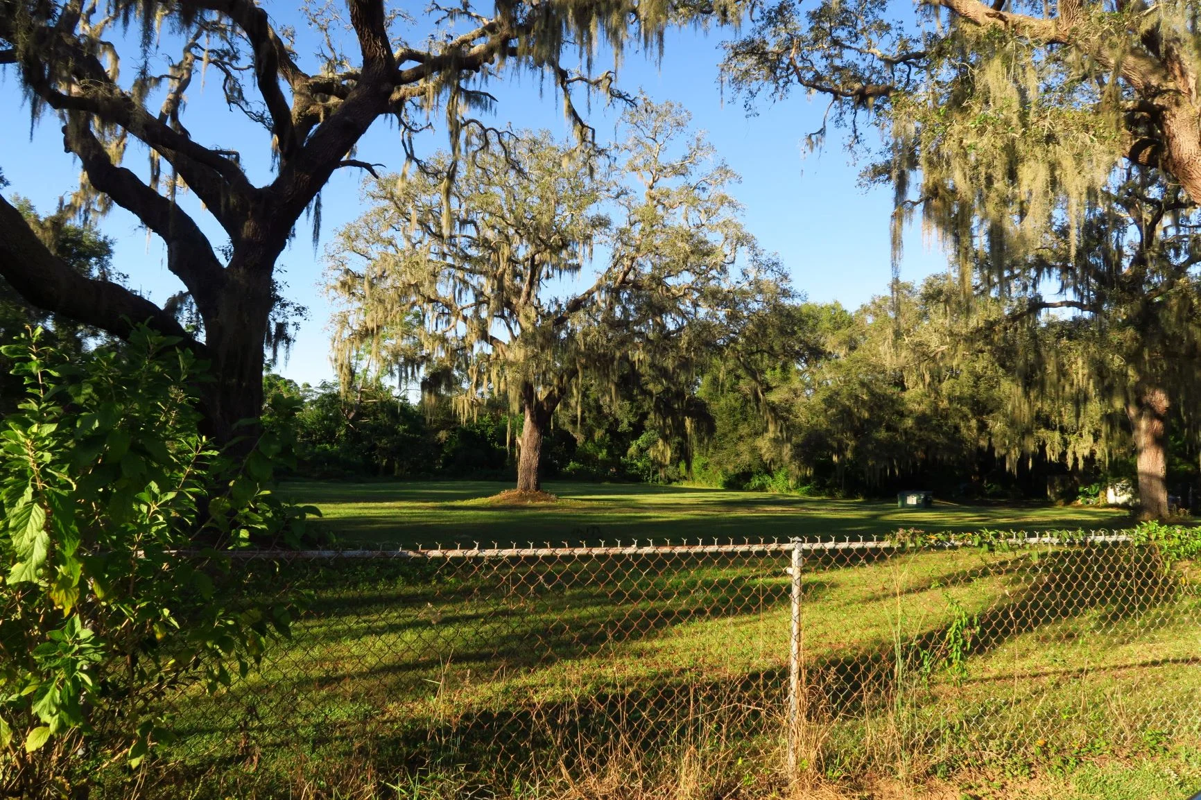 Central Florida scenery!