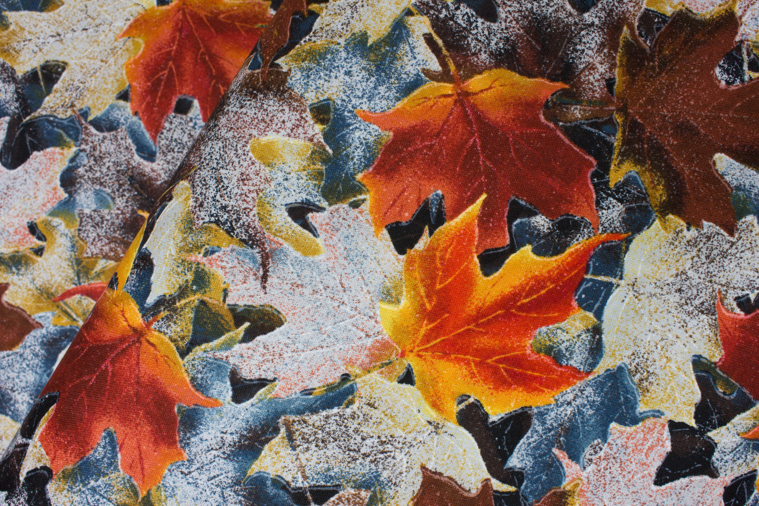 Fallen Leaves, Orange, Brown, and Grays: Frosted Fall for Hoffman