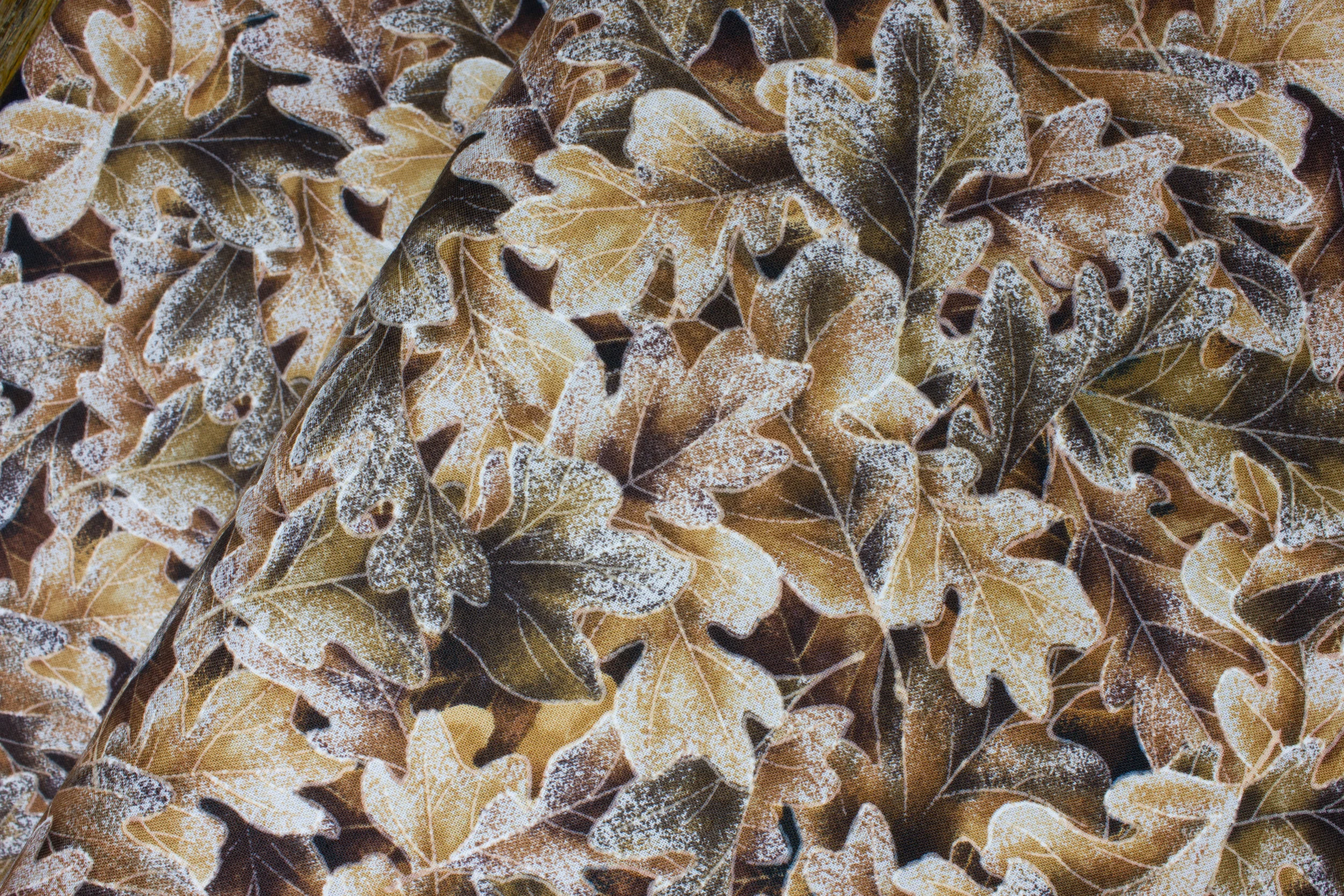Brown Leaves with Frost: Frosted Fall for Hoffman