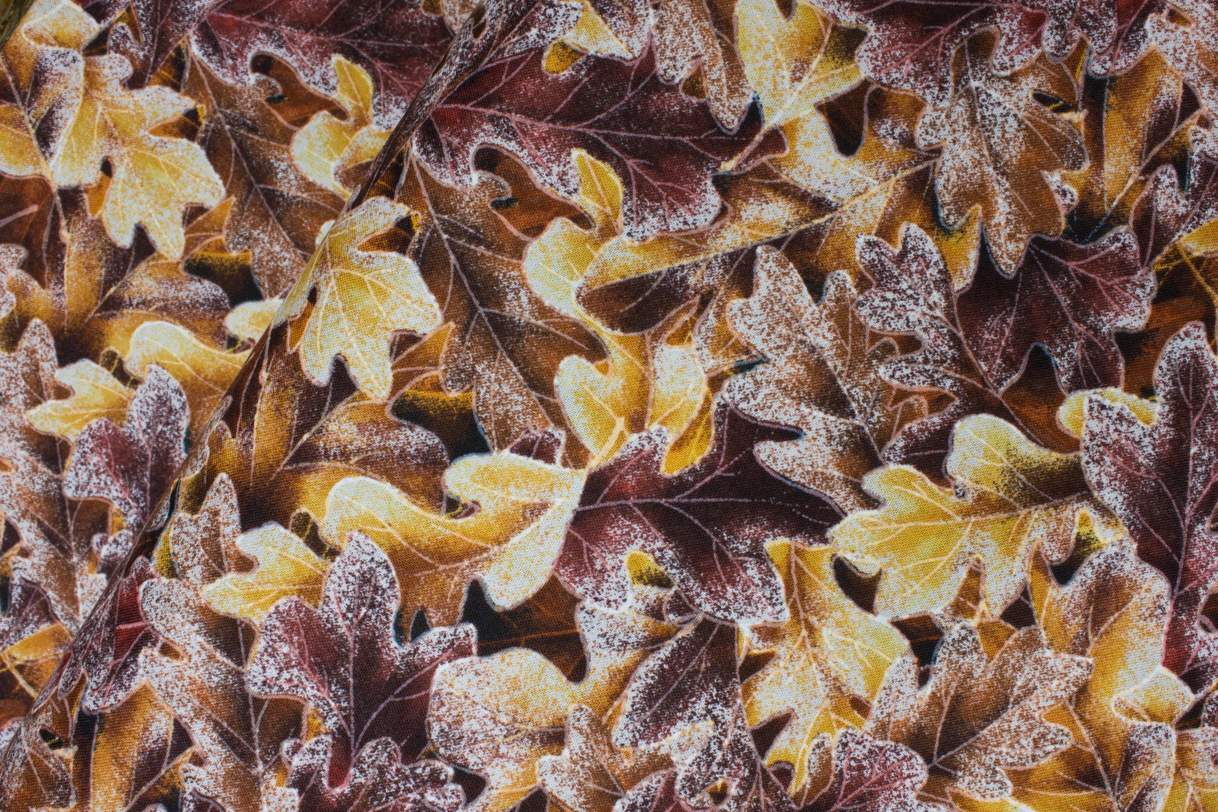 Burgundy, Orange, and Yellow Fall Leaves: Frosted Fall for Hoffman