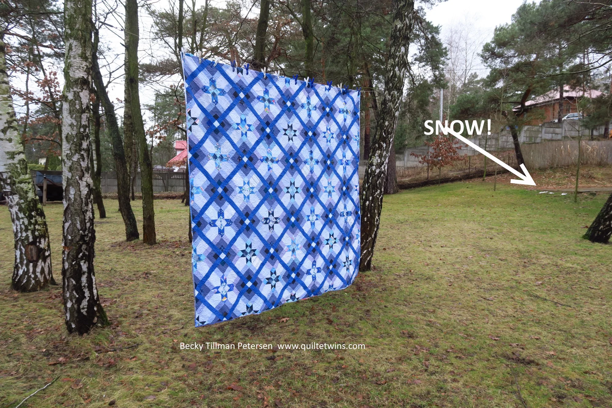 IMG_4399 snow sm web name with snow.jpg