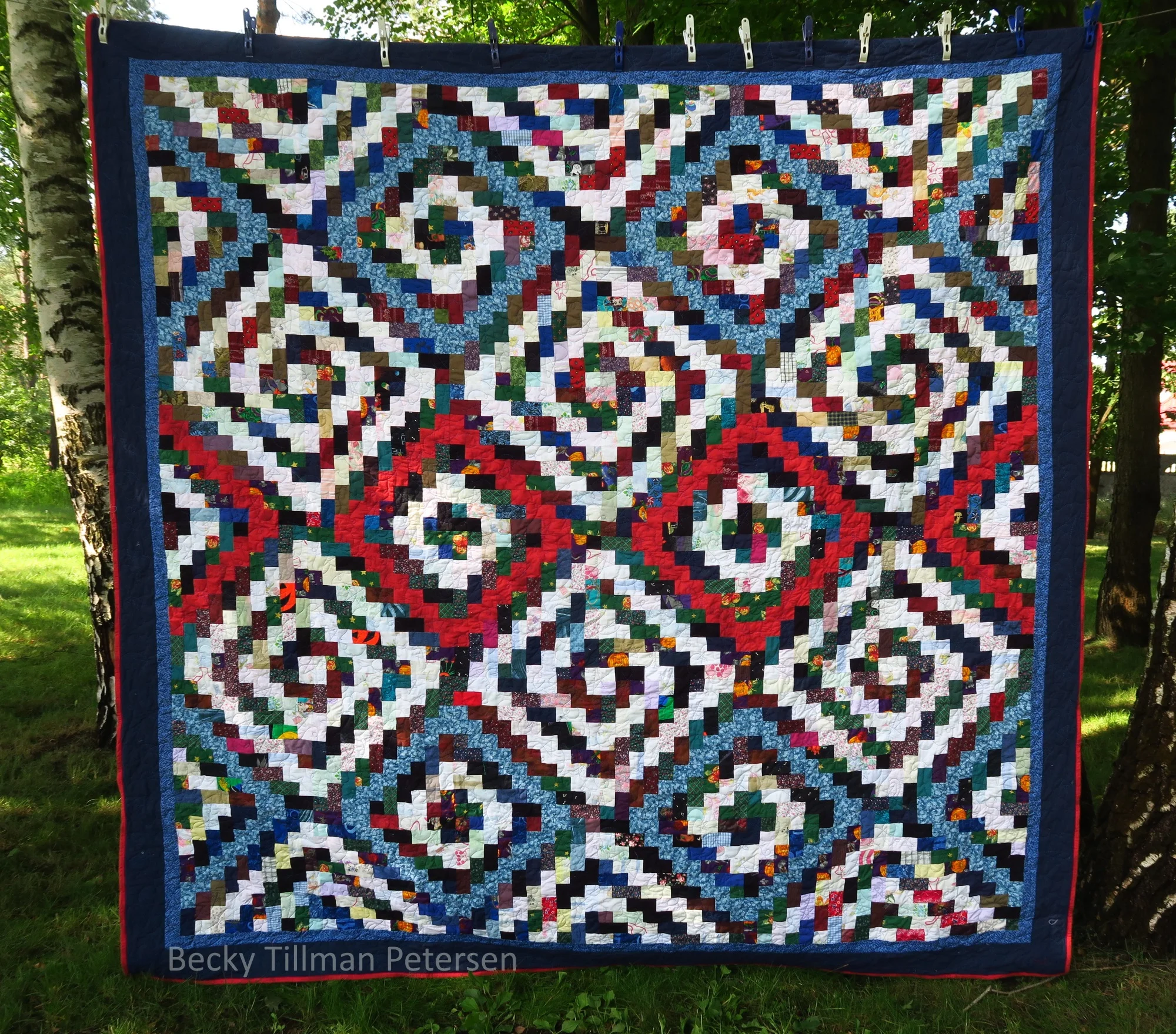 57. Native Splendor