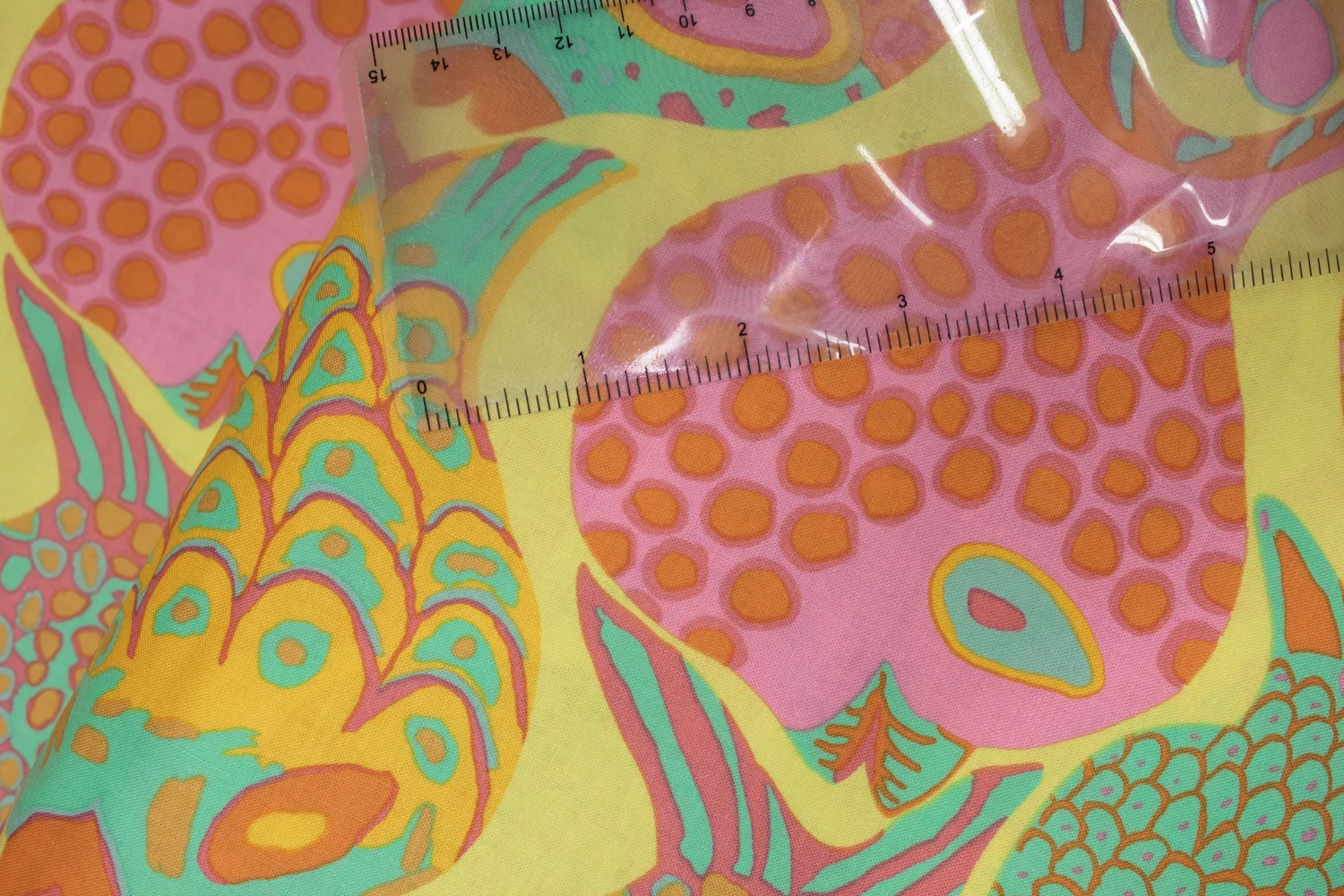 20190102-Fabric-17615.jpg
