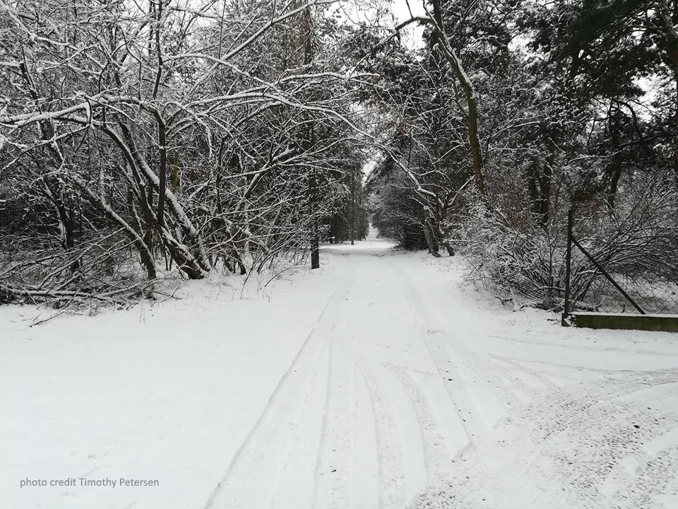 Winter Wonderland....finally!