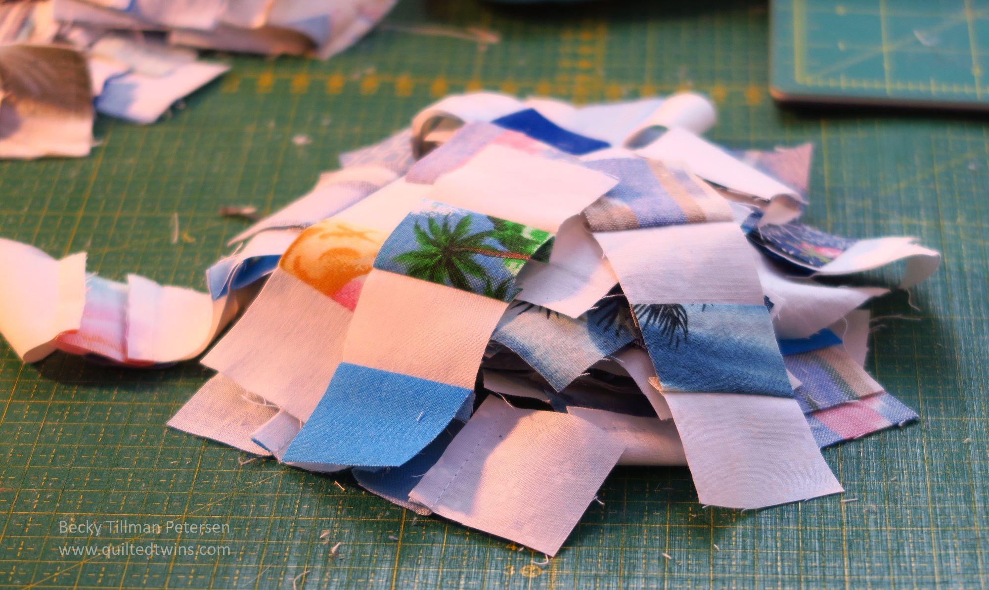 Strips of 1.5” checkerboard pieces.
