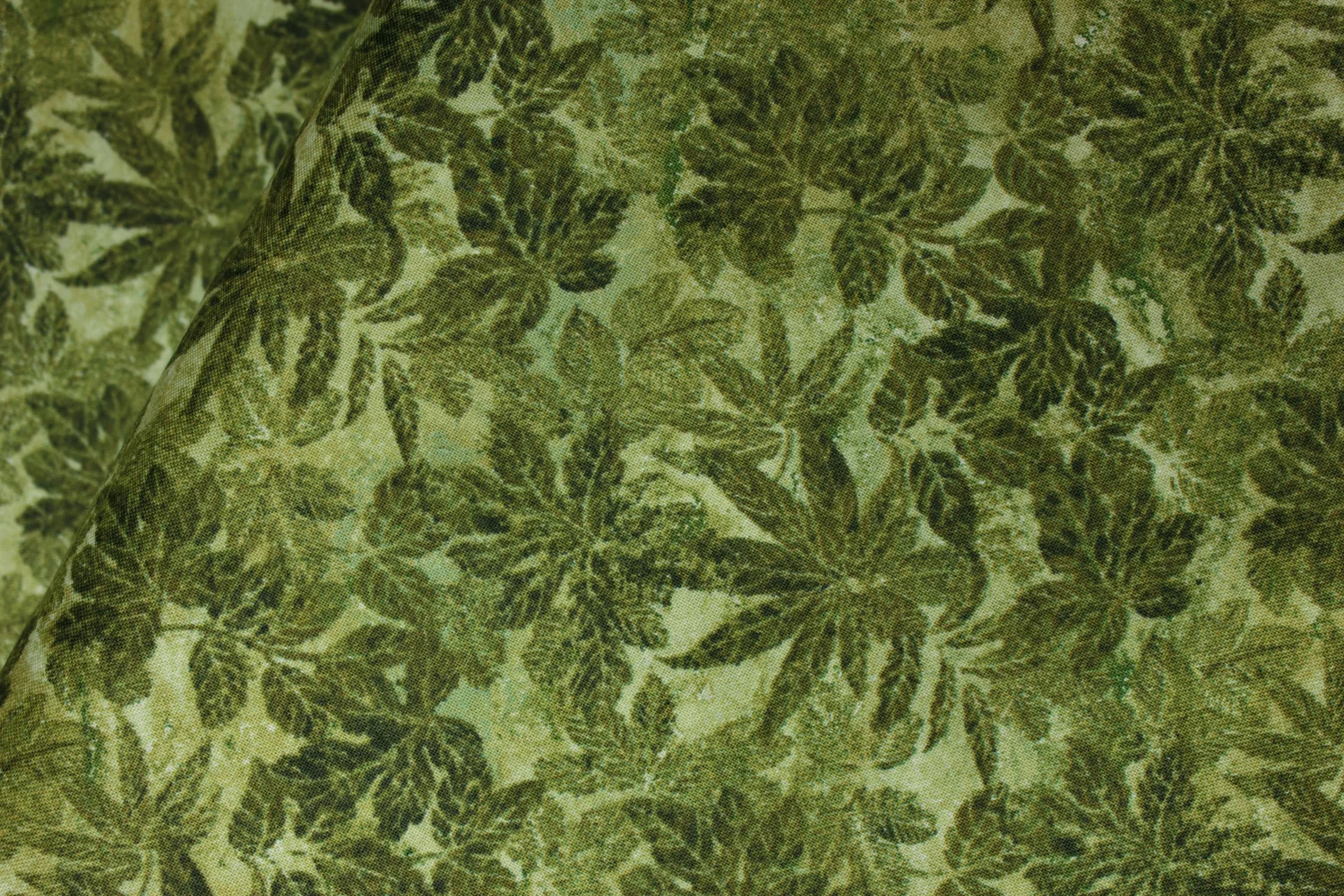 20190129-Fabric-18608.jpg