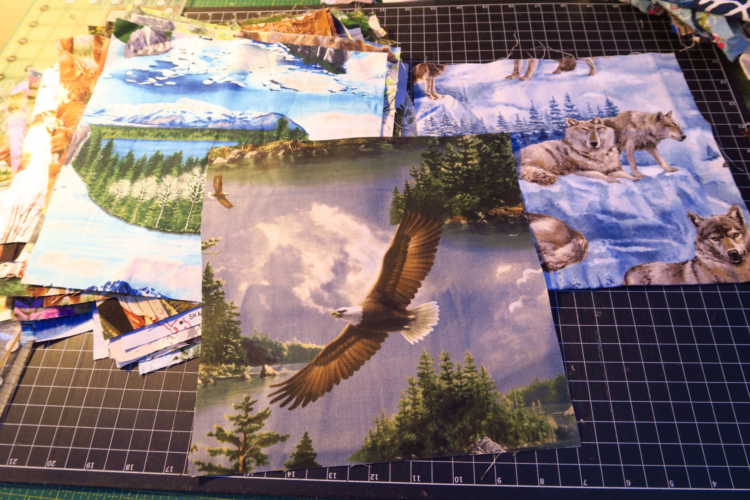 Alaskan Show-Off, Day 1