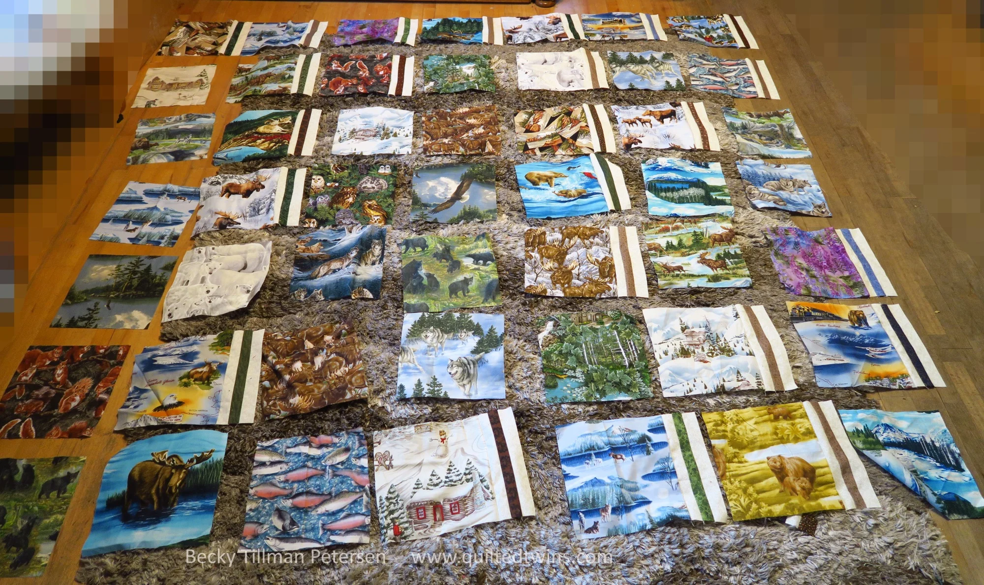 Here I am trying to decide the location of the squares. I had sewn some of the sashing strips on before I did that.