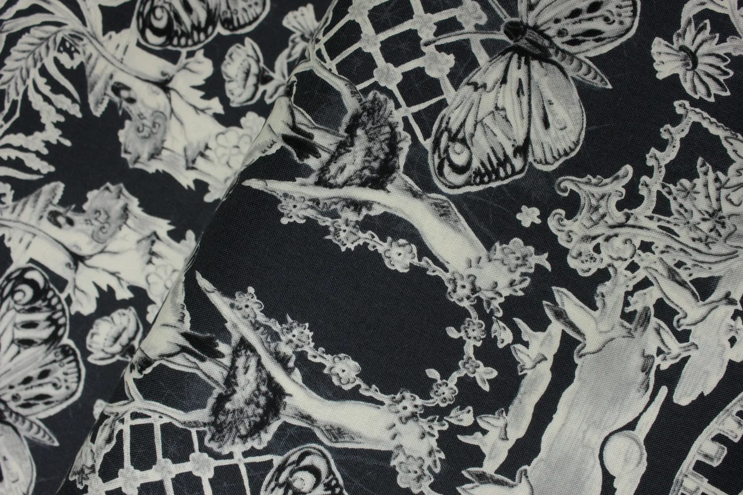 20190211-Fabric-18978.jpg