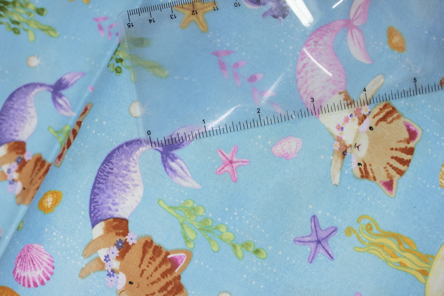 20190226-Fabric-19959.jpg