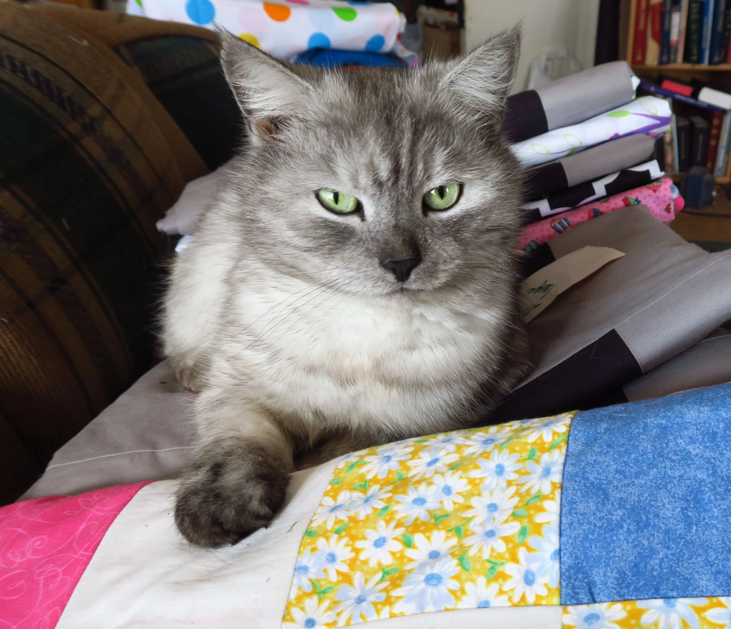 Charity Quilt Week 2 - Day 5