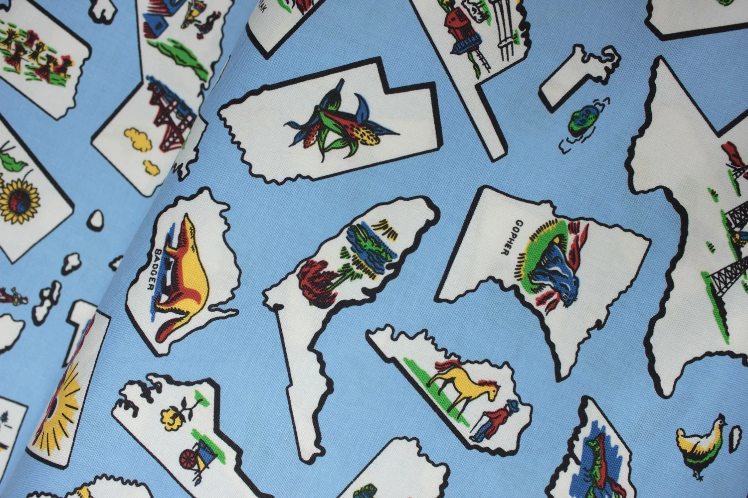 States with Blue Background: Sea to Shining Sea for Robert Kaufman