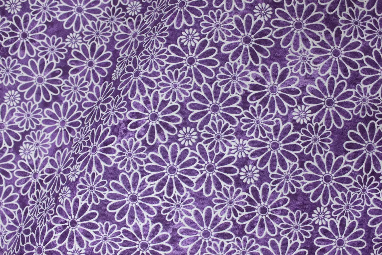 Sundrenched Daisies on Purple by Keepsake Calico