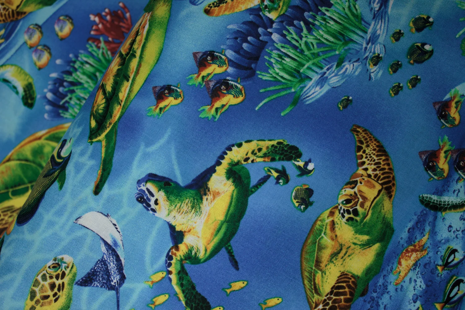 20190617-Fabric-24492.jpg