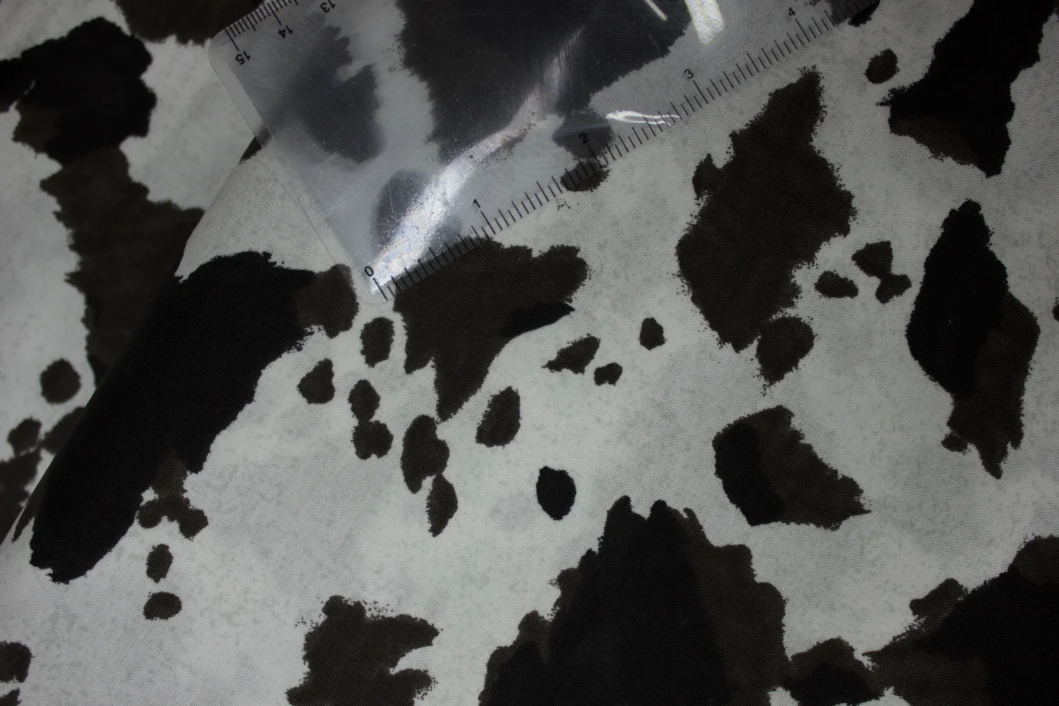 20190617-Fabric-24508.jpg