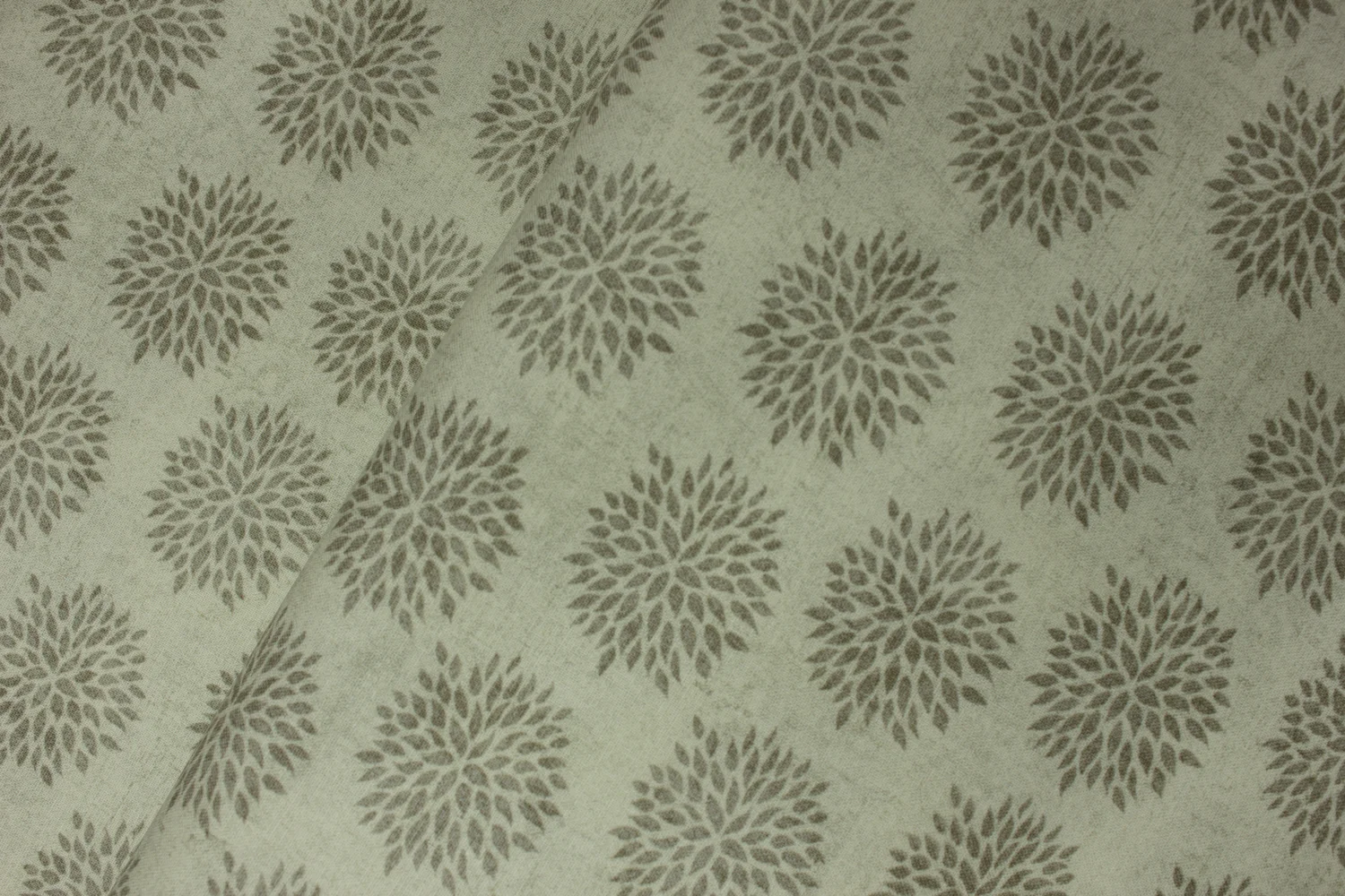 Indian Peacock Chrysanthemum by Suzanne Nicoll for Springs Creative