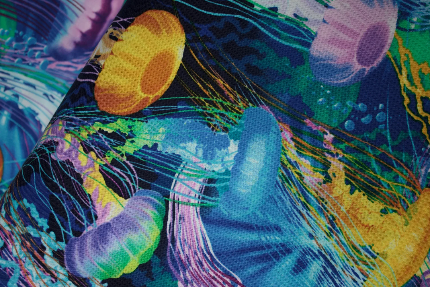 20190620-Fabric-24722.jpg