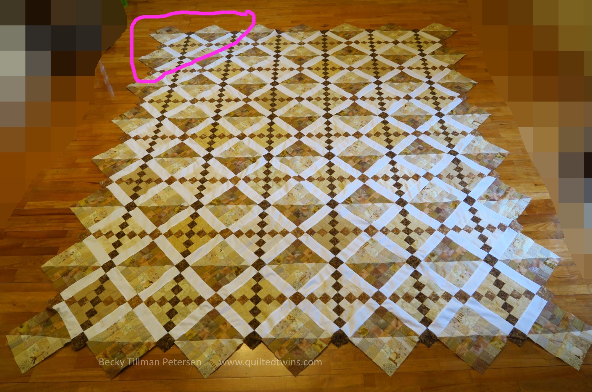 IMG_2621sm circled.jpg
