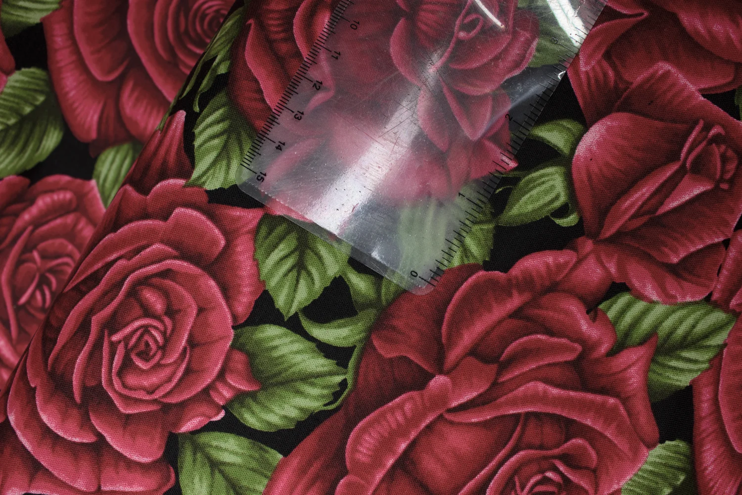20190721-Fabric-25335.jpg