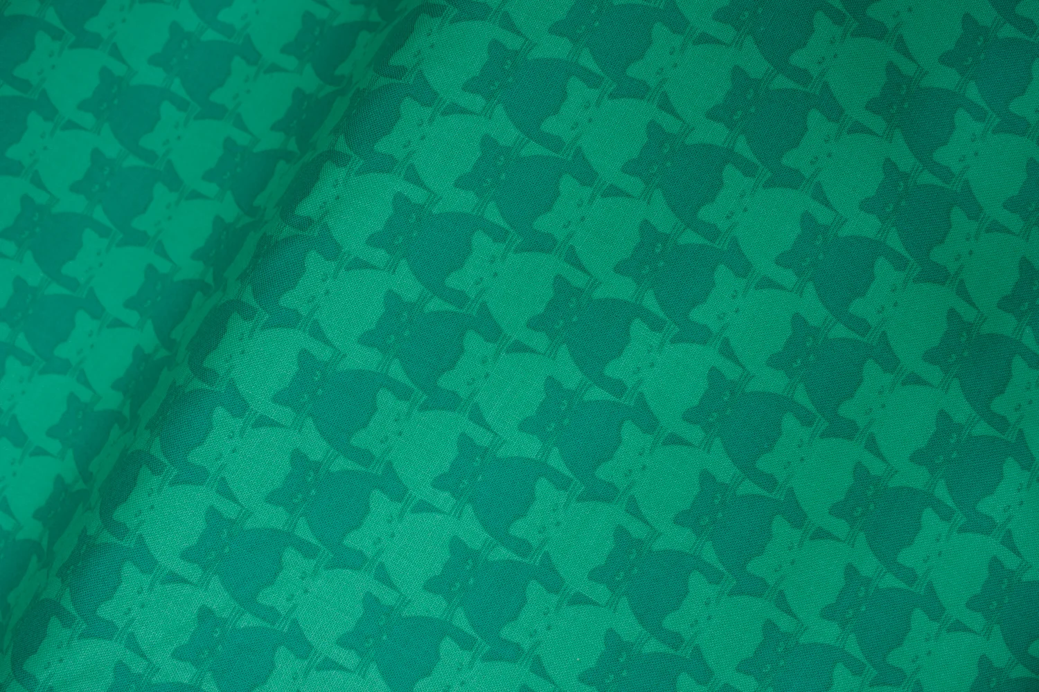 20190729-Fabric-25826.jpg