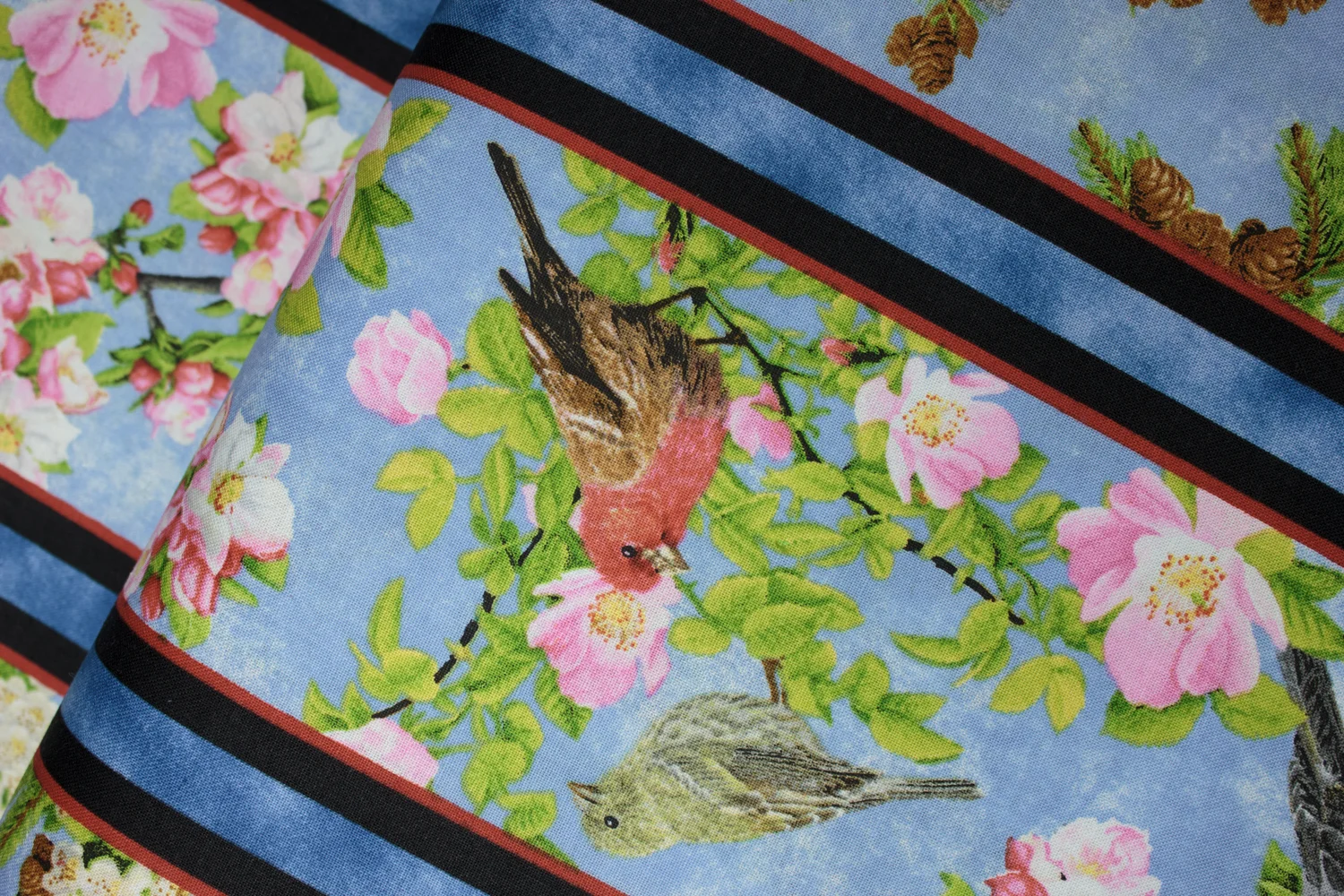 Beautiful Birds in Wide Stripes: Songs of Nature by Quilting Treasures