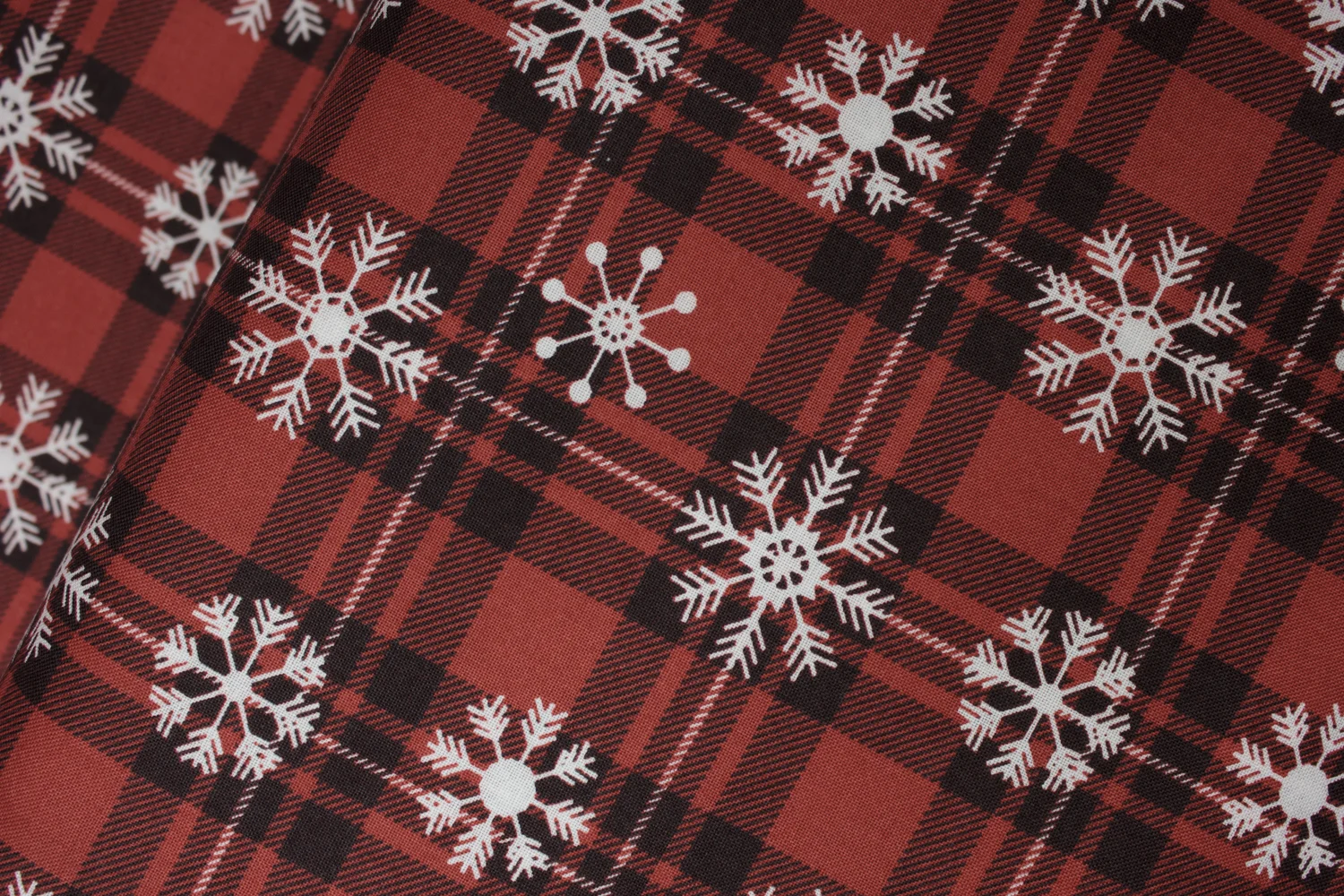 20190816-Fabric-26524.jpg
