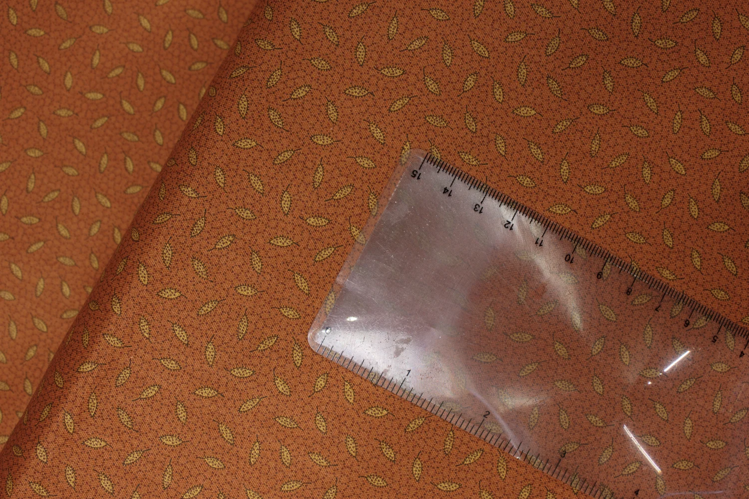 20190820-Fabric-26599.jpg