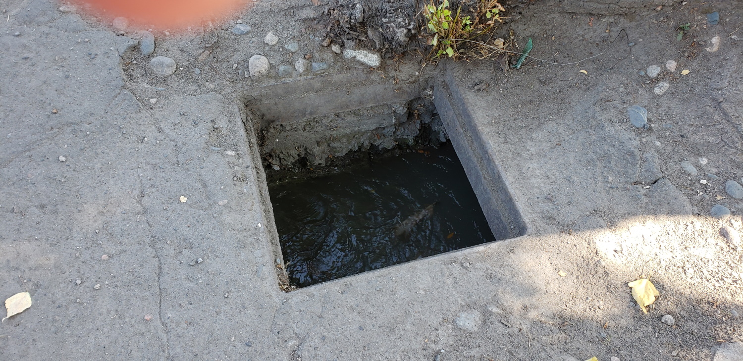 Oh dear - and this is right in the city center - with water flowing