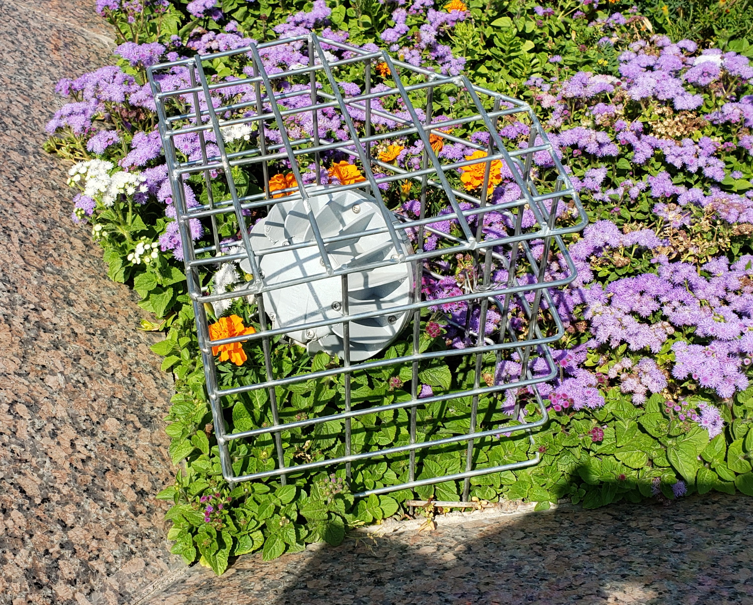 To keep the lights from being stolen- in a cage.