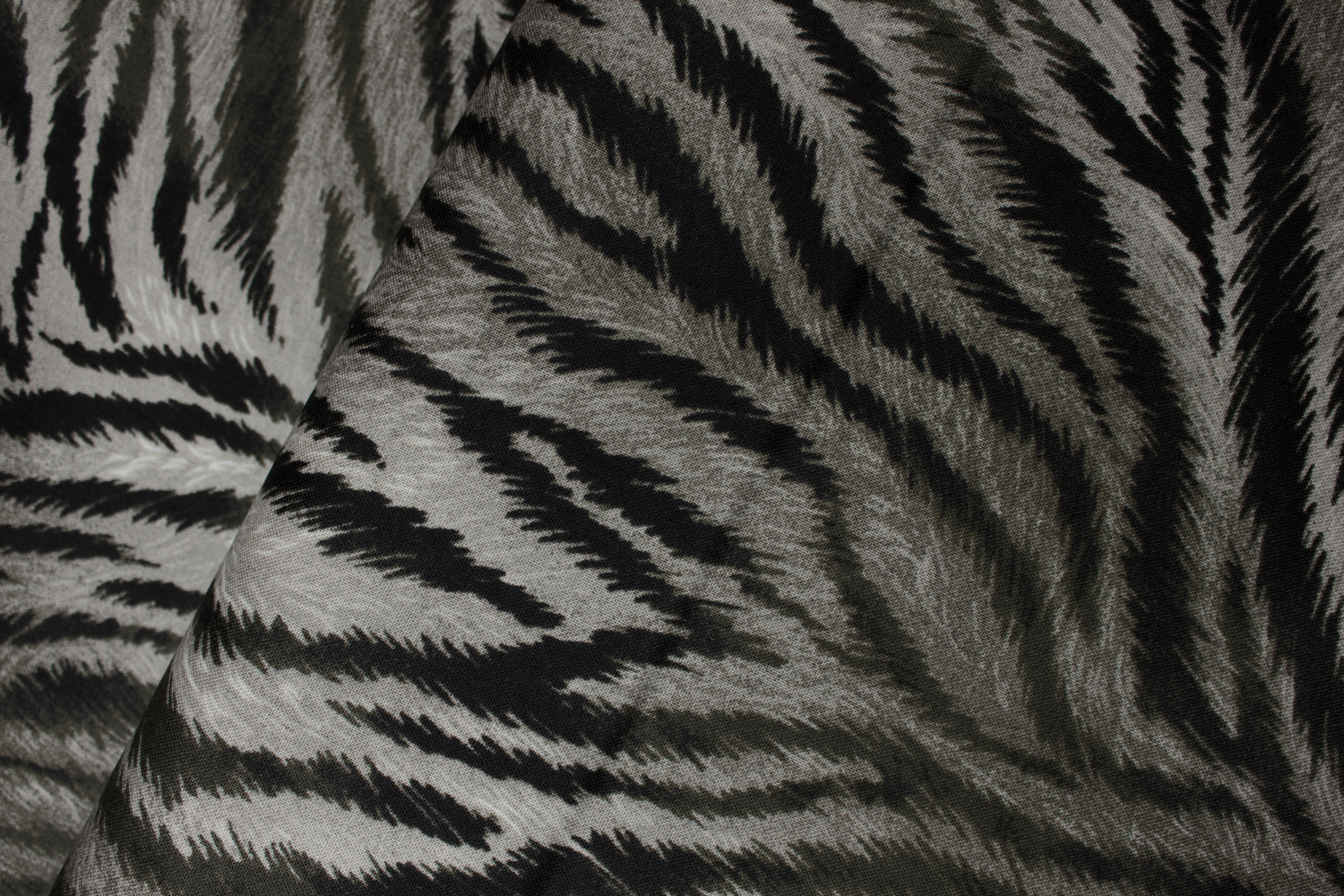 Black and Gray Tiger Stripe: Tiger Kingdom for Andover
