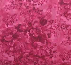Fuchsia.jpg