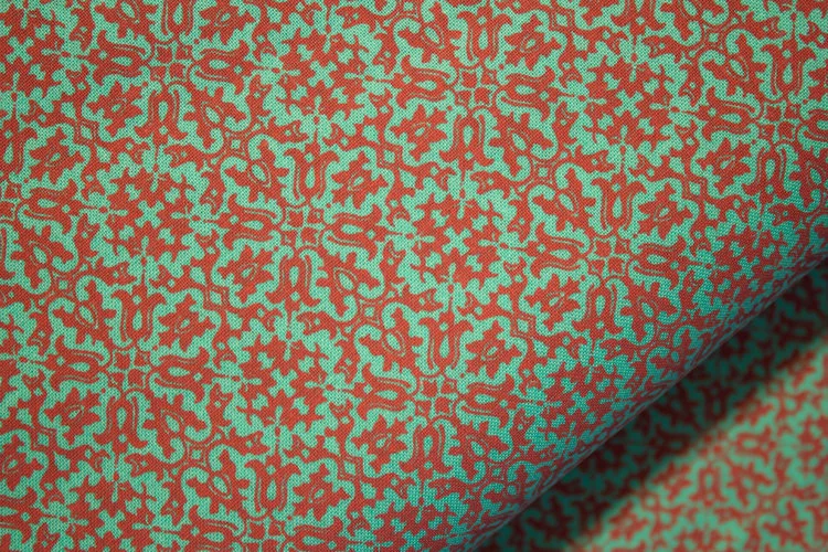 Coral on Caribbean.jpg