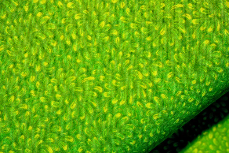 Lime Green Petals.jpg